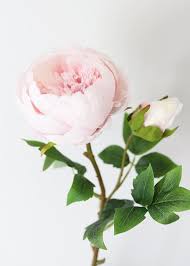 Silk Peony In Light Pink 24 Tall Silk Peonies Artificial Peonies Pink Peonies