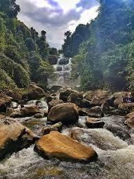 Kunci Jawaban Wow Air Terjun Petrohue 14 Kunci Jawaban Basilica Cistern 16 Guru Galeri Di Halaman Ini Anda Akan Menemukan Jawaban Untuk Game Words Of Wondersair Terjun Petrohue Tingkat 14 Bunga Agronema