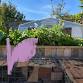 Dunoon Goes POP Open Garden event image