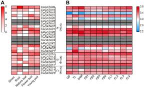 Los gatos se adaptan a un departamento de edificio de alto en la gran ciudad o a la quinta de las afueras, viven en el campo o en la gran urbe, se adaptan una vez más con tesón y ductilidad, se adaptan y se vuelven a adaptar a las circunstancias más disímiles y. The Gata Gene Family In Chickpea Structure Analysis And Transcriptional Responses To Abscisic Acid And Dehydration Treatments Revealed Potential Genes Involved In Drought Adaptation Springerlink