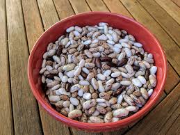 Best Bean Dishes for Autumn