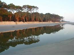 Escape to this south carolina island today! Hunting Island State Park Ranked In Top 25 Beaches In The United States Pinckney Retreat