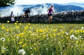 Les courses les prestations détail lieu. Swiss Canyon Trail 2021 Termin Anmeldung Ergebnisse Fotos