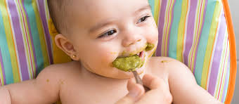 Les 6 mois de bébé marque le début de la diversification alimentaire, il peut commencer à goûter d'autres aliments que le lait, et goûter à la carotte ou début de la diversification alimentaire de bébé entre ses 4 et 6 mois. L Introduction Des Legumes Et Des Fruits Chez L Enfant