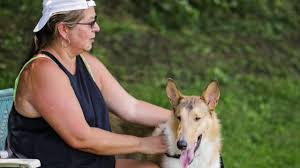 Collies are noble and intelligent, but occasionally can be a bit stubborn. Home