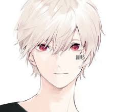 Hair grey boy anime guys 64 super ideas. Super Drawing Hair Anime Boy 22 Ideas Anime White Hair Boy Anime Boy Hair White Hair Anime Guy
