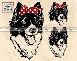Download Border Collie Bandana Svg Dog Svg Files For Cricut Funny Etsy Etsy Humor Border Collie Collie