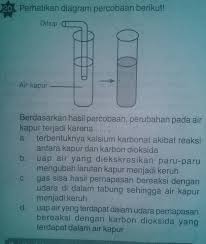 Untuk indikator kunyit akan memberikan warna kuning muda pada larutan asam, yakni sedangkan warna coklat kehitaman dihasilkan untuk larutan yang bersifat basa, yakni air kapur dan air sabun. Berdasarkan Hasil Percobaan Perubahan Pada Air Kapur Terjadi Karena Brainly Co Id