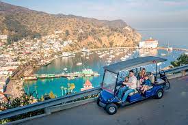 Cartopia is the place for renting a cart for up to 6 people. Tips And Tricks To Catalina Island With Young Children Catalina Express