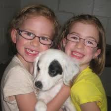 ARANDA DOG TRAINING ADRIAN MI, ARANDA DOG TRAINING ANN ARBOR MI, AND  SURROUNDING AREAS , 35 PLUS EXPERIENCE, CERTIFIED