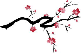 Choose from japanese cherry blossom branch drawing stock illustrations from istock. Cherry Blossom High Resolution Wallpapers Widescreen Cherry Blossom Drawing Japanese Cherry Tree Japanese Cherry Blossom