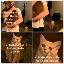 Queen elizabeth and her husband prince philip are distant cousins. The Best Queen Elizabeth Memes Memedroid