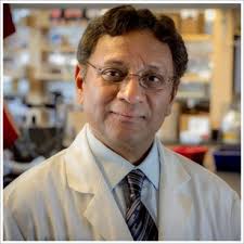 IMMUNOBIOLOGY NEWSLETTER