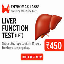 Liver Function Test (LFT) – ₹450 | Thyromax Labs Chennai
