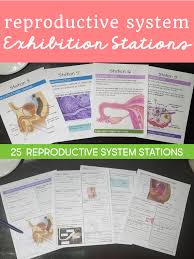 Anatomy Store Biology Roots
