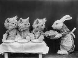 These things are often a huge hit in parties. The Dinner Party Cats Photo 42670914 Fanpop Page 21