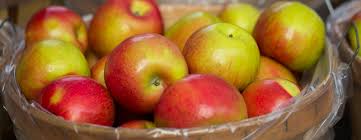 Northern Michigan Fresh Apples You Pick King Orchards