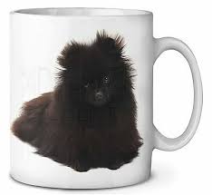 Coffee machine spare parts australian kelpie temperament. Kitchen Dining Bar Australian Kelpie Dog Coffee Tea Mug Christmas Stocking Filler Gift Id Ad Ak1mg Home Garden