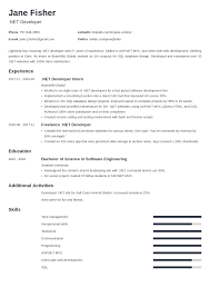Net Developer Resume Example Template Minimo Resume Examples Job Resume Examples Resume