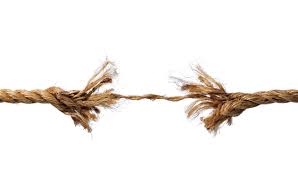 Executive coach utilizing epigenetics and neurobiology. Rajkumari Neogy Linkedin
