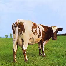 4k wallpapers will be coming soon. Download Atom Heart Mother Wallpaper Gallery
