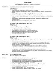 business intelligence developer resume