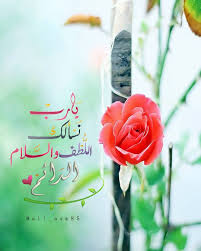 Aℓi On Instagram يارب نسألك اللطف والسلام الدائم فلو فلوو بلاك صور خلفيات جالكسي اسلاميه صورة مسلم رمزيات منوعات بلاك بيري