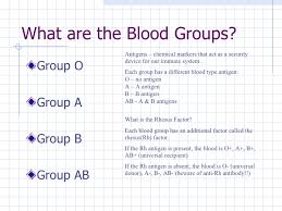 B Positive Blood Group Diet Weight Loss