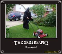 Pin On Funny Horror Memes Gifs