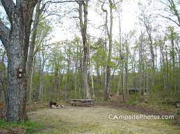 Maybe you would like to learn more about one of these? Savoy Mountain State Forest Campsite Photos Reservations Info