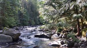 As a result of the gold rush in canada, gold was found in washington. Gpaa State Spotlight Washington Gold Prospectors Association Of America