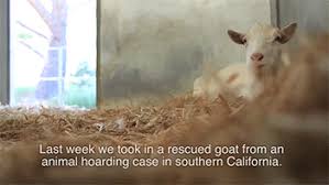 Https Encrypted Tbn0 Gstatic Com Images Q Tbn 3aand9gcrjsrgwbvko C5yu0clpdewtfgxdnor O8ngw Usqp Cau