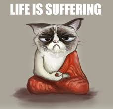 Grumpy Buddha Grumpy Cat Cat Buddha Cats