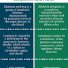Brainly user the symptoms you've indicated (slow wound recovering and neuropathy of the feet) are caused by diabetes. Https Encrypted Tbn0 Gstatic Com Images Q Tbn And9gcrlj8cjt1oenc46vxz6erhzuldcsudhtltdplsfrul14vewi Gm Usqp Cau