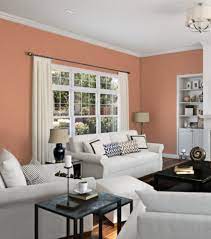 Sherwin Williams Persimmon 2025 Color