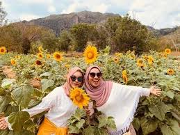 Sertai facebook untuk berhubung dengan shazwanie bunga matahari dan orang lain yang mungkin anda kenal. Cendawan Cheese Ladang Bunga Matahari Di Taman Ular Dan Facebook