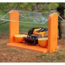 How To Build A Oriole Feeder Google Search Howtobuildabirdhouse Diy Bird Feeder Bird Feeders Oriole Bird Feeders