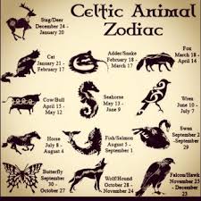 The second week of august is one of the most intense of 2021. Learn About Celtic Zodiac Animals With Detail Meanings