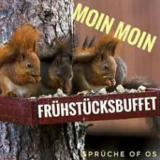 Die 131 Besten Bilder Von Guten Morgen In 2019 Guten Morgen