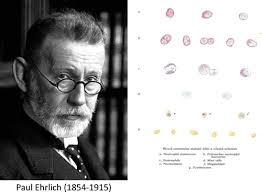 Paul Ehrlich and the Early History of Granulocytes