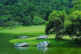 It was started in 2014 for the research purpose and currently a well famous place at area. Hashtag Sri Lanka On Twitter Seethawaka Botanical Garden Puwakpitiya Srilanka Travelsrilanka Botanical Garden Nature Lake Travelingram Https T Co Cl4x1lrsqm