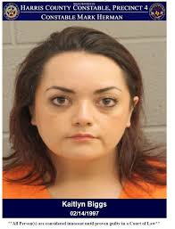 CONSTABLES ARREST SUSPECT IN POSSESSION OF STOLEN MAIL, PARCEL PACKAGES,  CREDIT CARDS, FORGED DRIVER'S LICENSES AND METHAMPHETAMINE! On May 20,  2025, a Sergeant with Constable Mark Herman's Office conducted a traffic  stop