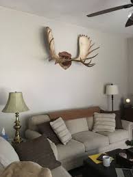 Check spelling or type a new query. How To Decorate Around Moose Antlers Hometalk