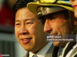 10,295 Yip Stock Photos, High-Res Pictures, and Images