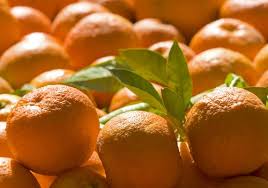 Lancome парфюмерная вода orange bigarade. Bitter Orange Nutrition Facts And Health Benefits