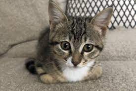 1,996 likes · 221 talking about this. H Gata Poy Moy Alla3e Th Zwh