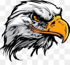 Hewan burung elang gambar vektor gratis di pixabay. Elang Unduh Gratis Mobil Mile High Harley Davidson Sepeda Motor Decal Eagle Gambar Png
