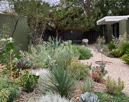 Learn how to create stylish landscapes, follow garden trends, and get tips to try in your own garden. Dry Garden Design Certificate Program The Ruth Bancroft Garden Nursery