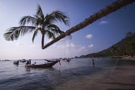 The best areas to stay in koh tao are mae haad, sairee beach, chalok bay, thian og and tanote bay. 5 Best Neighborhoods And Areas In Koh Tao 2021 Guide