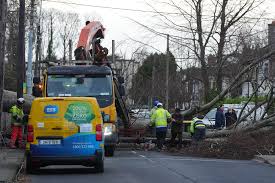 Eowyn latest: Fresh weather warnings issued for strong winds and flooding across UK; man, 20, who died after tree fell on car named